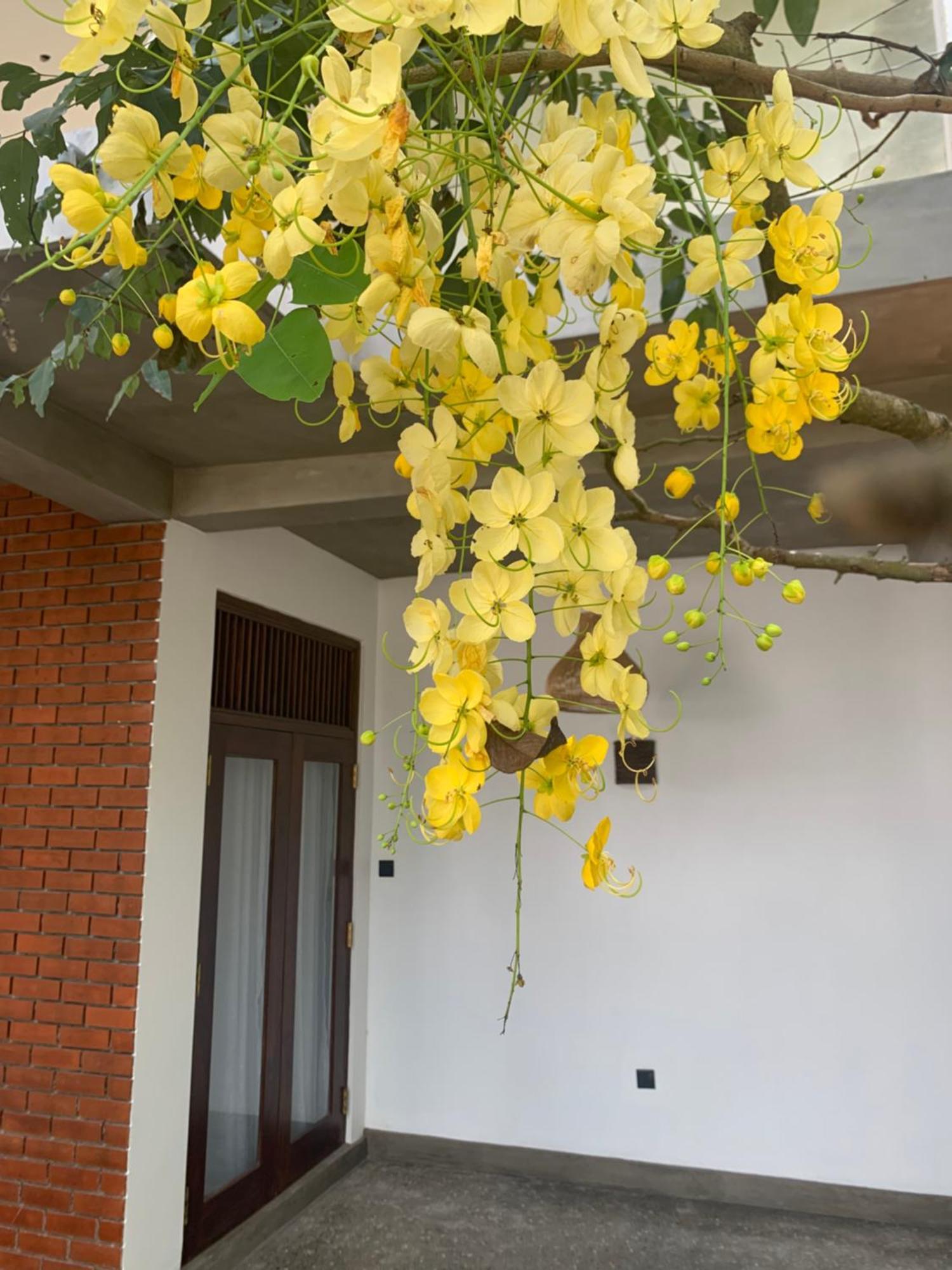 Bed and Breakfast Thaproo Bay Hiriketiya Dikwella Sur Exterior foto